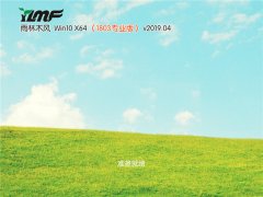 ľ Win10 x641803רҵ棩v2019.04