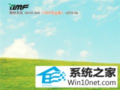 ľ Win10 x641809רҵ棩v2019.06