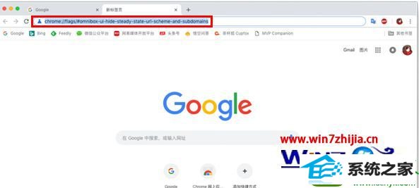 win10ϵͳֹChromeURLwwwĲ