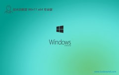 <font color='#CC0000'>Աwin11 64λ ⼤羺v2025.05</font>
