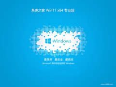 <font color='#339900'>ϵͳ֮win11⼤64λɰv2025.05</font>