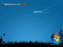 ľwin8.1شʦ64λv2025.05⼤