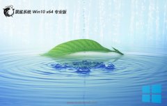 ϵͳ64λwin10رðv2025.05