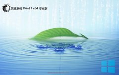 ϵͳwin11 64λ ⼤v2025.05